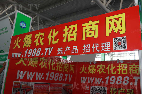 ��s������2021ɽ�|ֲ�������𱬾W(w��ng)��������ʢ�e��