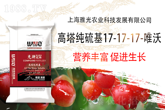 �ͺϷ��Ј��r����10��30�ՏͺϷʃr������