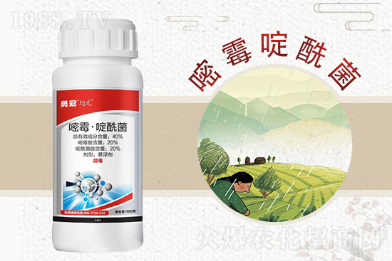 �¹چ̵��ٺ�1988.TV���T�����x����