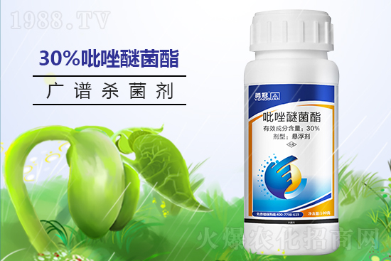 �¹چ̵��ٺ�1988.TV���T�����x����