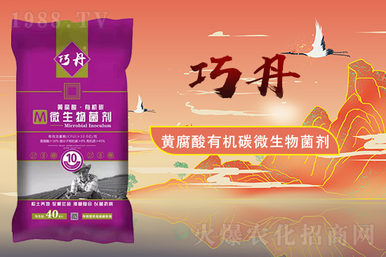 �����P(gu��n)ϵ�����A��ɽ�|�f��ȵ��m(x��)�s1988.TV��