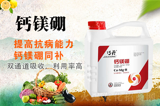 �����P(gu��n)ϵ�����A��ɽ�|�f��ȵ��m(x��)�s1988.TV��