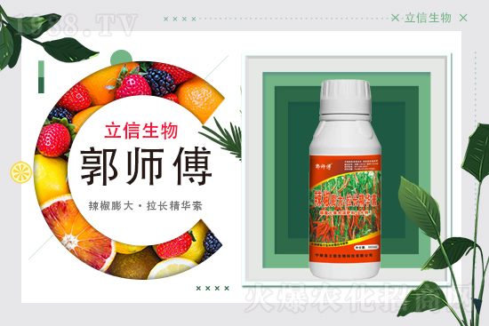 ���������m(x��)�s1988.TV���y�ֹ���(chu��ng)���x����