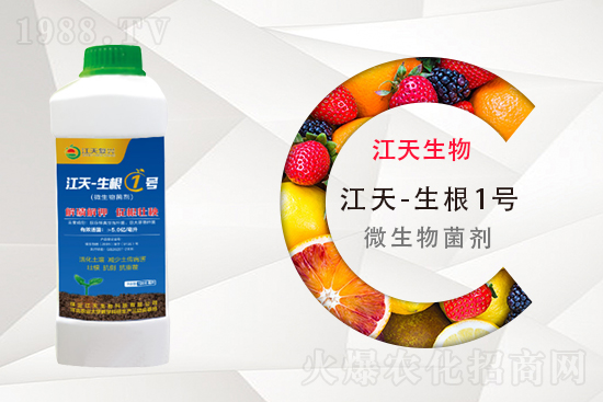 ⛷ʶ����Xһ����11��11�ո���⛷ʃr������