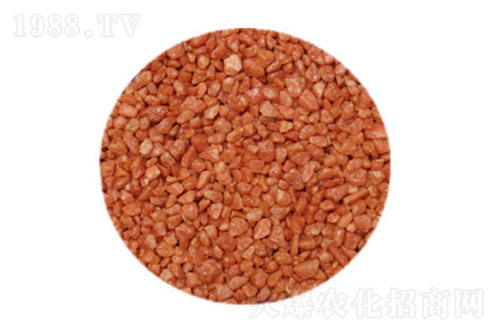 ⛷ʃr(ji��)��߀���ٝq����11��12�ո���⛷ʃr(ji��)��