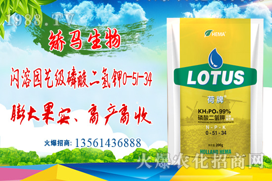 ⛷ʃr(ji��)���ů��11��15��⛷ʃr(ji��)������