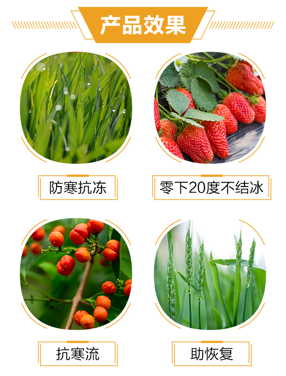 河南一畫農(nóng)業(yè)科技有限公司2_03