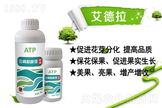 ���r(n��ng)���W(w��ng)ϲӭ���������������𱬁��u��