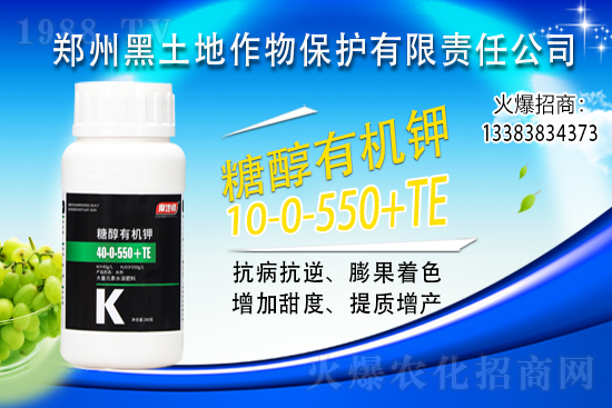 2021��11��9�Շ���(n��i)⛷ʃr(ji��)�������Ӎ