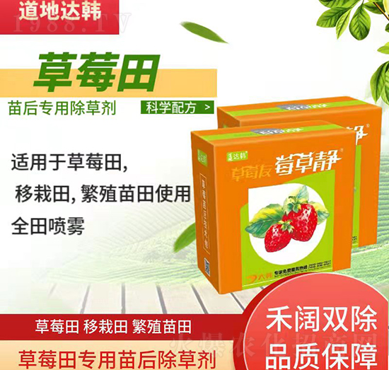 草莓育苗期間使用哪種除草劑？草莓除草劑使用方法！