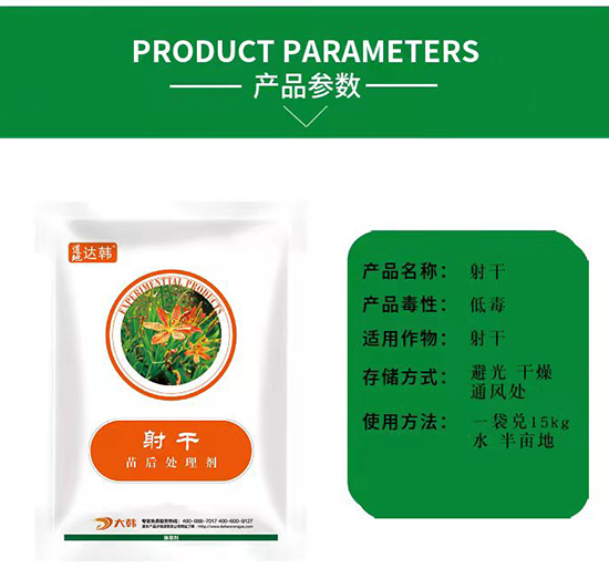 ��ɳ��݄�-��������Ɍ�(zhu��n)�á����n2