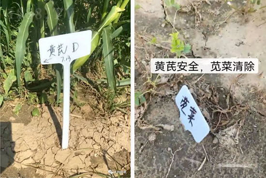 �α�2̖¡������������������ɳ��{�˵��S�γ��݄������ݸ��V����ȫ����