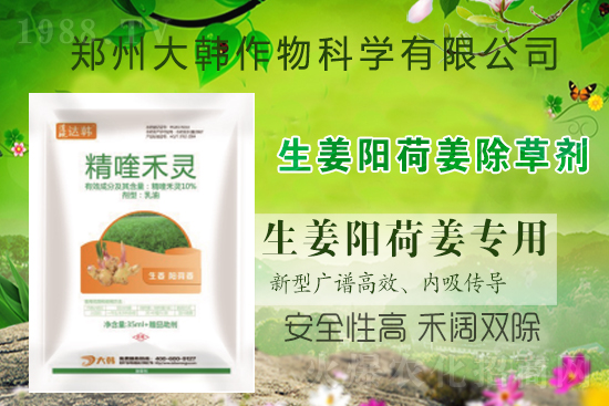 ���(y��ng)�ɽ���ô���ݣ����ش�ʲô���݄������(y��ng)�ɽ����ݷ�����ע�����(xi��ng)