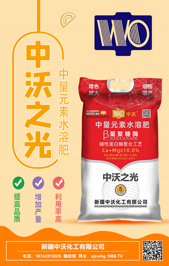 ���ֻ����m(x��)�s1988.TV���y���r(n��ng)���W(w��ng)�ل�(chu��ng)���x����