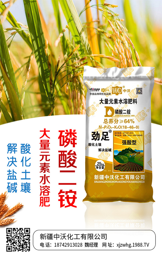 ���ֻ����m(x��)�s1988.TV���y���r(n��ng)���W(w��ng)�ل�(chu��ng)���x�ͣ�