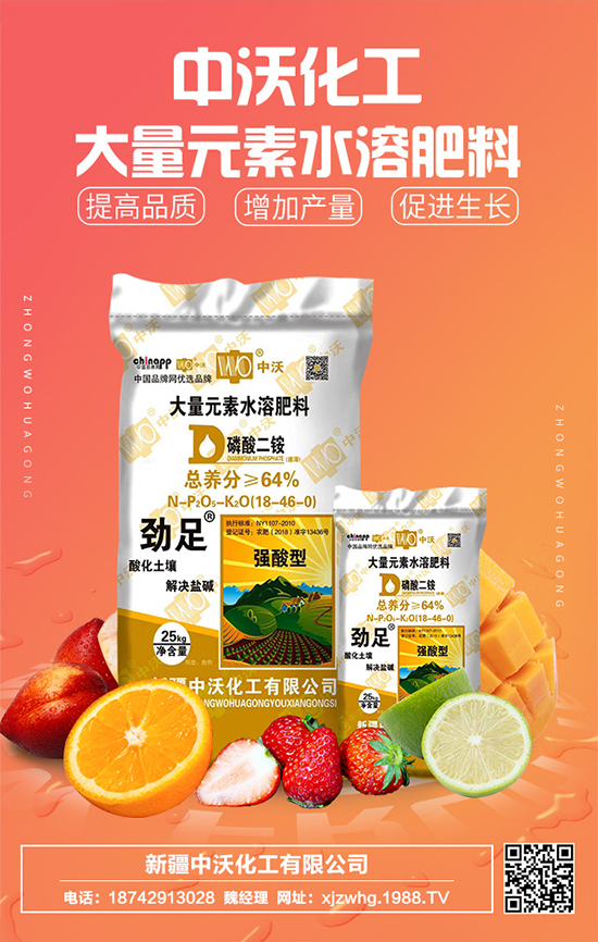 ���ֻ����m(x��)�s1988.TV���y���r(n��ng)���W(w��ng)�ل�(chu��ng)���x�ͣ�