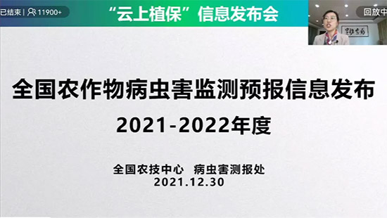 ����ֲ��3