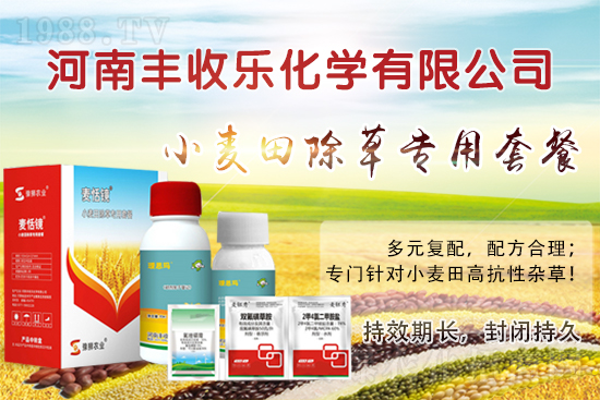 С�������ӳ��ݸ���ԓ��ô�x�ó��݄���