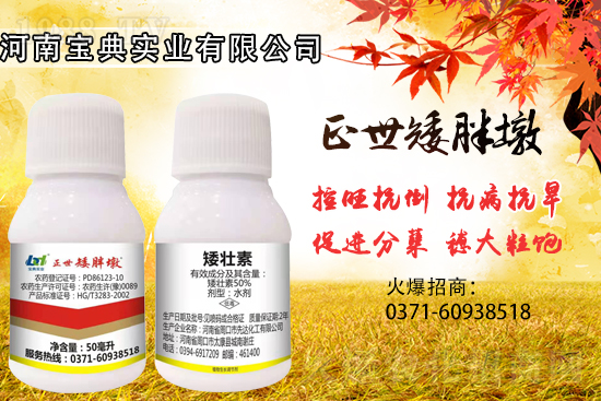 С���������ݲ��ɓ������I(y��)������Ч��������