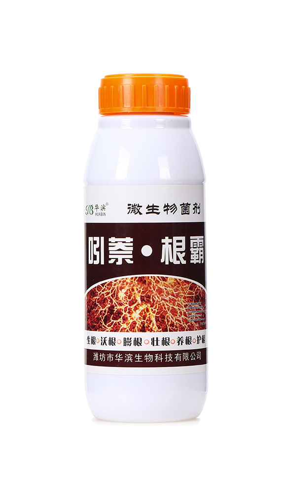 ����������1