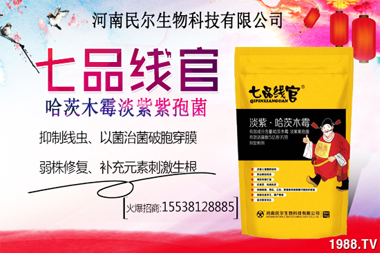 ѩ����r(ji��)������Xһ�ꣿѩ�ҷNֲǰ��������