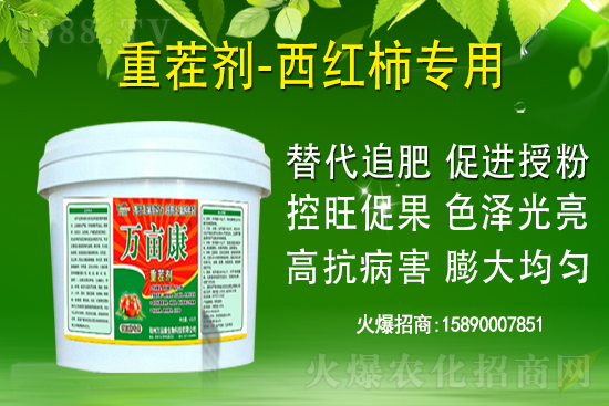 為什么果樹促梢建議用硝酸銨鈣，不建議用尿素？