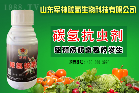 �����A���x���r��2021.3.11