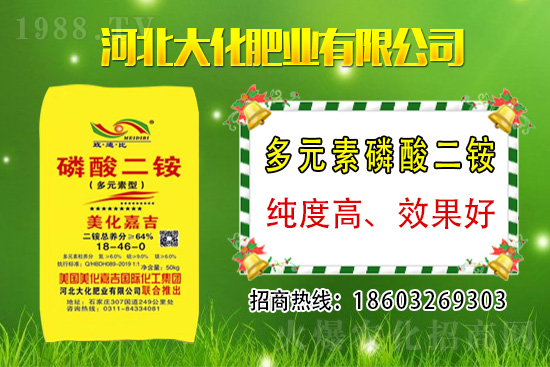 小麥價(jià)格多少錢一斤？2021年3月12日麥價(jià)格分析