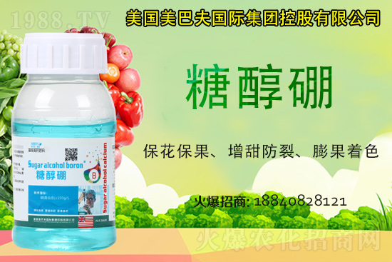 ���յ��ȶ����Xһ����2021�굾�ȃr(ji��)���Ƿ�߀��(hu��)�q��