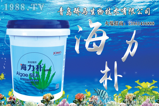 ѩ����r(ji��)������Xһ����2021��Nֲѩ����ٍ�X����