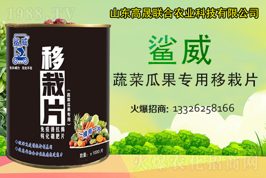 �����������������L������...���߲˶�ֲ�ؿ�