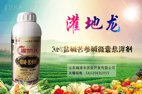 2021.3.19�rˎ���x���r���߄�