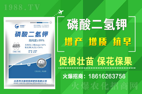 ���˷Nֲ��Ҫע����Щ���}�����˷Nֲԓ��ôʩ����