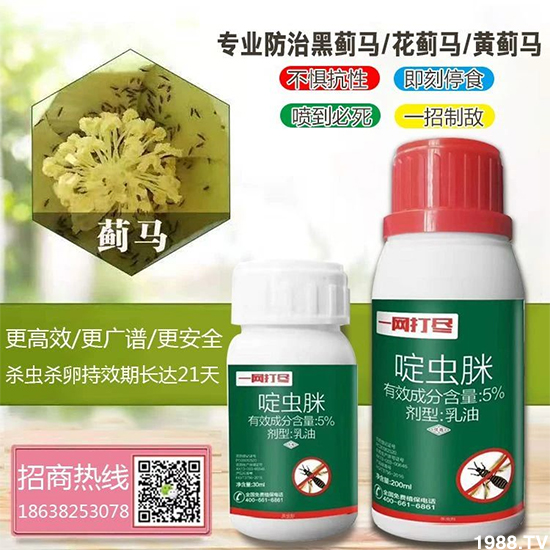 2021.3.23����������x(ch��ng)���r(ji��)���Ӎ