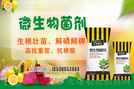 ��ݮ�����F(xi��n)���l���l(f��)������ҪԴ��ʲô������