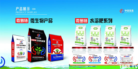 ���˟oζ���ϲ����������㡱�ǻ����ǵĵ���