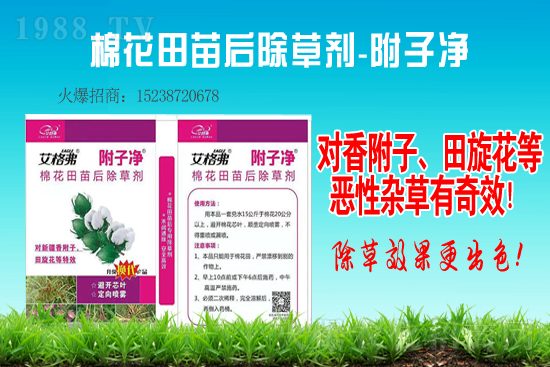 2021-3-31�޻����݄��r(ji��)������