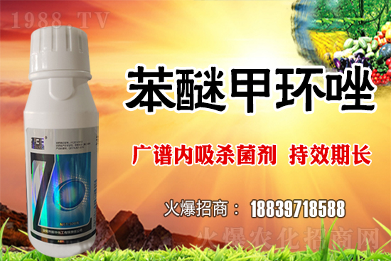 �������L�U�Ӵ�������ö�С�����o������