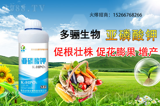 3月份適合種植什么藥材?哪些藥材種植前景好又賺錢(qián)