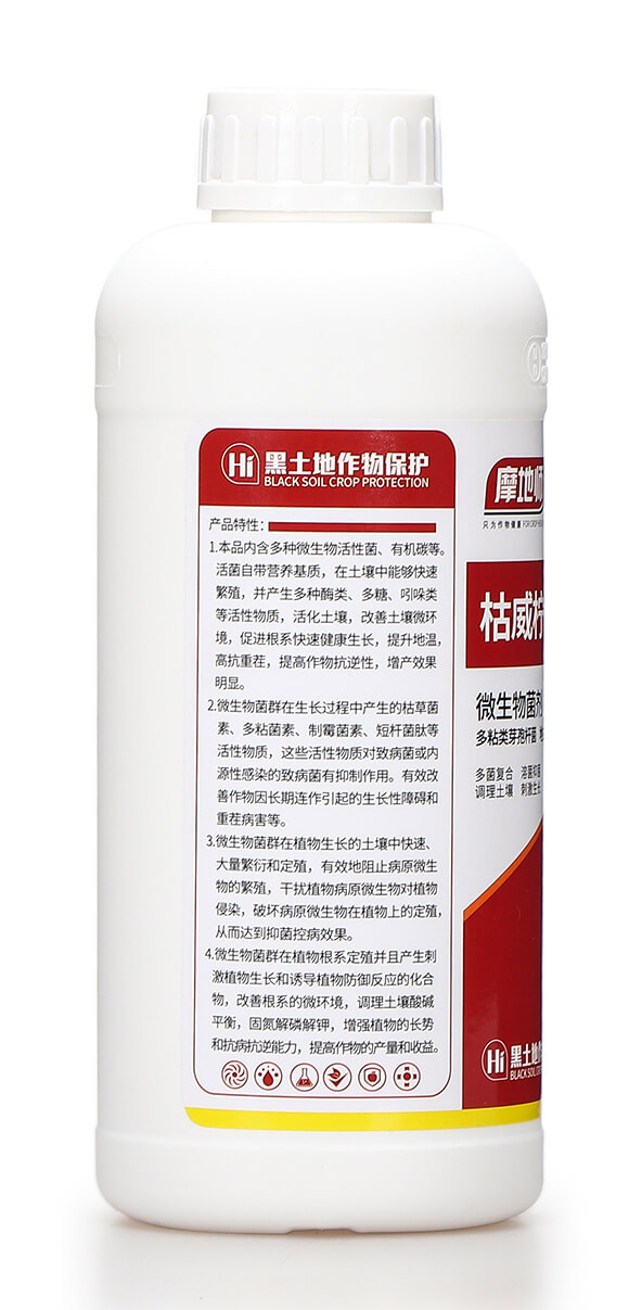 ΢�������-������1̖-Ħ�؎�6