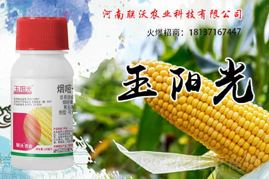 玉米除草為什么選擇苗后?玉米苗后除草劑如何打?