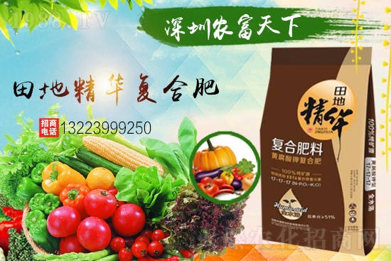 ��������(j��)���������A���r(n��ng)�������ٺ�1988.TV��(chu��ng)���x����