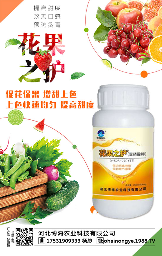 �����r(n��ng)���ٴ����v���r(n��ng)�����̾W(w��ng)����(sh��)�F(xi��n)��I(y��)�°l(f��)չ��