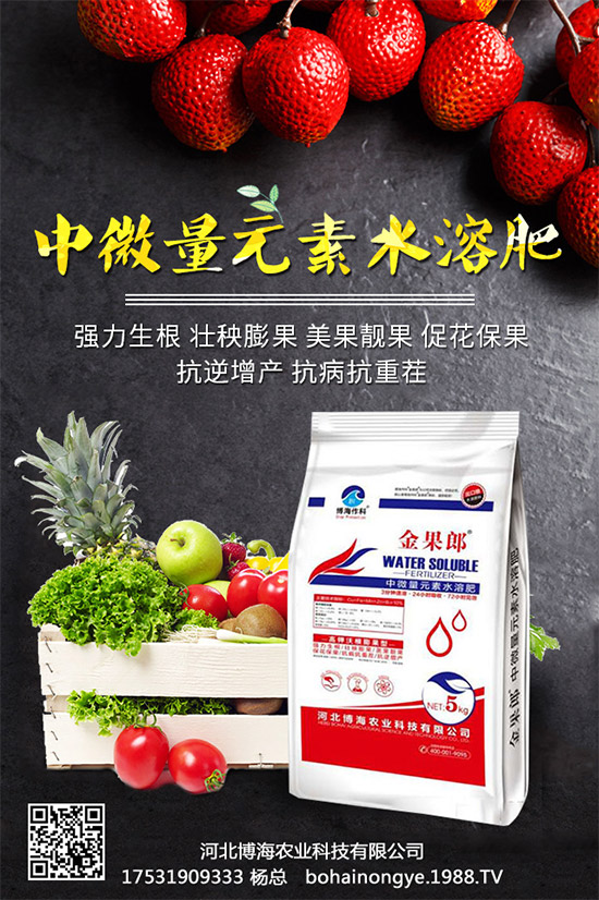 �����r(n��ng)���ٴ����v���r(n��ng)�����̾W(w��ng)����(sh��)�F(xi��n)��I(y��)�°l(f��)չ��