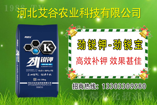 2021��6��1�Շ���(n��i)⛷ʃr(ji��)���߄�(sh��)����