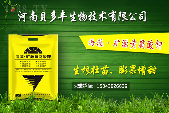 果樹黃化的原因是缺鐵嗎?果樹黃化噴施硫酸亞鐵怎么樣?