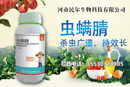 ���x(ch��ng)���r(ji��)��