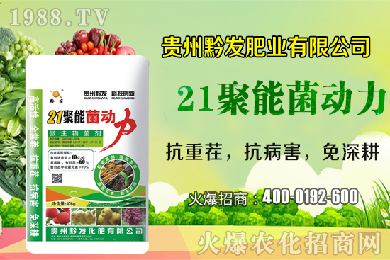 ǭ�l(f��)�ʘI(y��)�ٶȔy��1988.TV���y�ִ����������E��