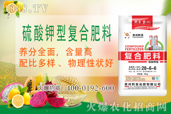 ǭ�l(f��)�ʘI(y��)�ٶȔy��1988.TV���y�ִ����������E��