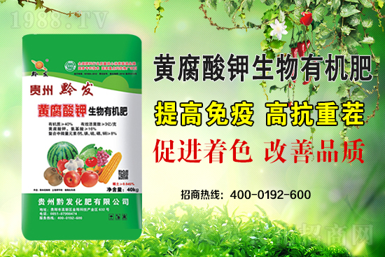 ǭ�l(f��)�ʘI(y��)�ٶȔy��1988.TV���y�ִ����������E��